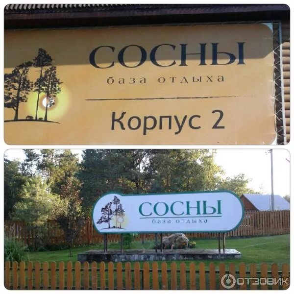 Бузулук отдых сосны. Бузулукский бор боровка. Турбаза сосны бузулукский бор. Турбаза сосны бузулукский бор. Бузулук отдых сосны.