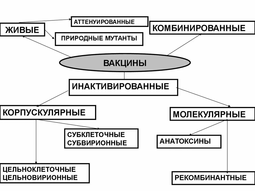 Вакцины классификация. Типы вакцин схема. Классификация вакцин микробиология схема. Классификация иммунобиологических препаратов микробиология. Иммунобиологические препараты. Вакцины: живые, инактивированные.