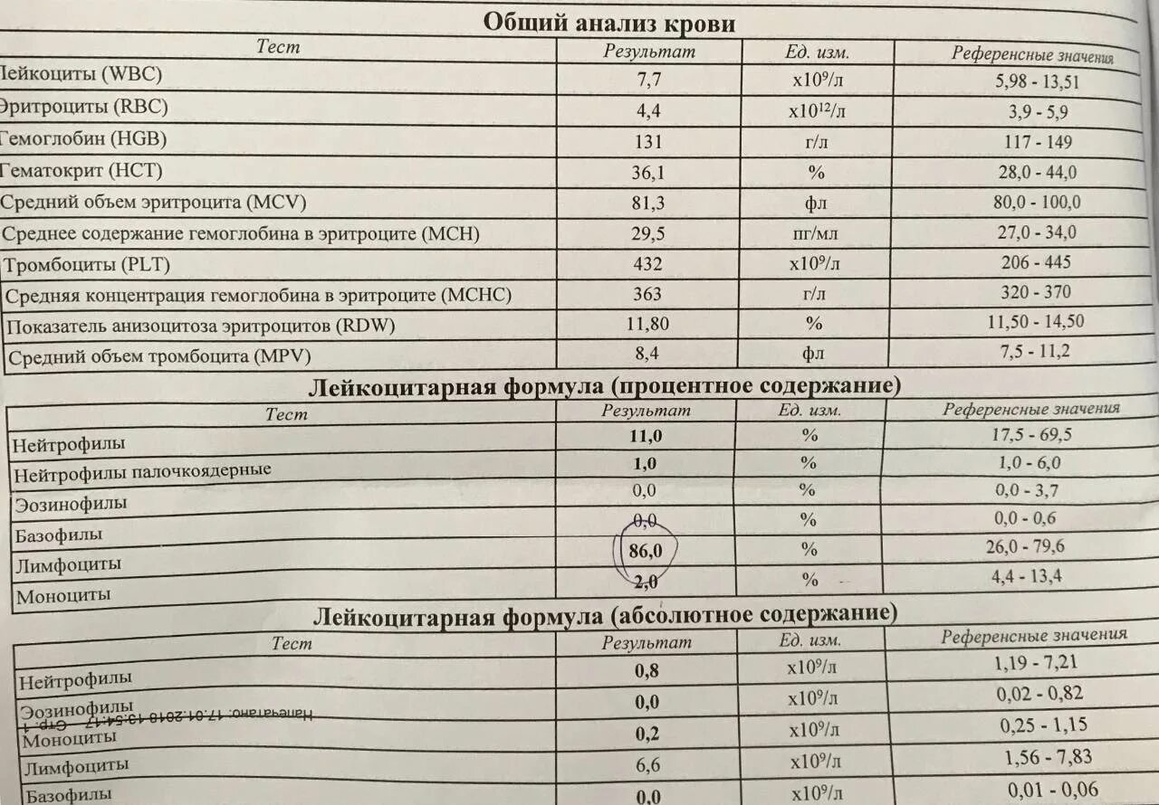 Нормальные показатели лимфоцитов периферической крови. Лейкоциты в крови норма у детей 15 лет таблица. ОАК лимфоциты норма. Моноциты норма у детей 2 года. Почему в крови повышены лейкоциты у мужчин