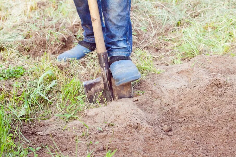 К чему снится перекапывать землю лопатой. Чем копать землю. Нога лопата земля.