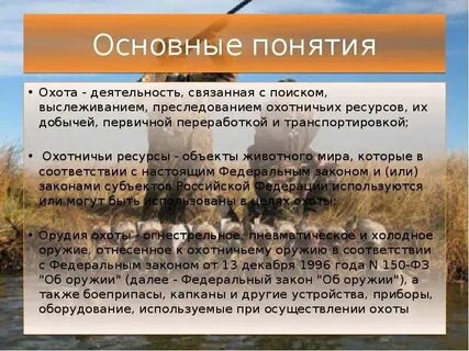 Охотничьи ресурсы виды охоты