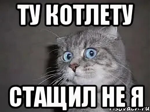 Мем в ахуе. Честно сказать я в аухе. мем честно-честно кот. честно сказать я в аухе кот картинка. я в ахуе честно сказать мем.