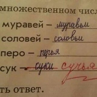 Шило множественное число