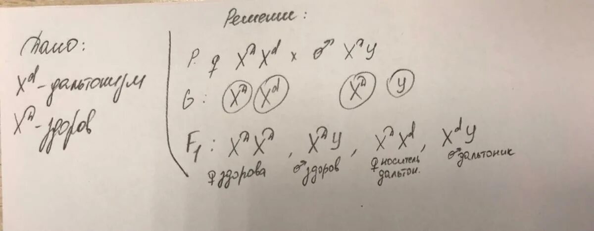 Ген вызывающий развитие дальтонизма. У человека ген вызывающий одну из форм цветовой. Задача по биологии на дальтонизм с решением. Где у человека ген вызывающий дальтонизм. Дальтонизм заболевание.