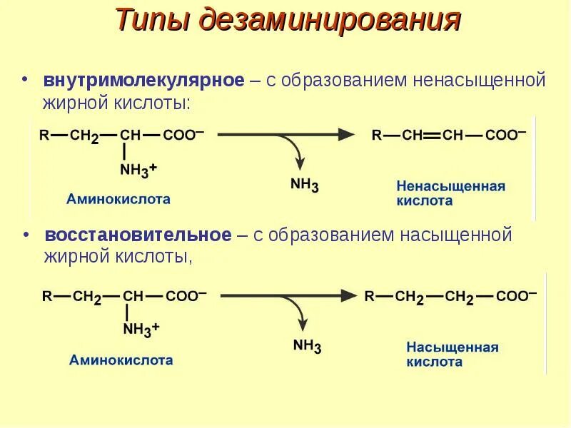 Дезаминирование аспарагиновой. Дезаминирование аспарагиновой кислоты. Внутримолекулярное дезаминирование аминокислот. Дезаминирование ацетамида. Кислоты образуются в результате превращений