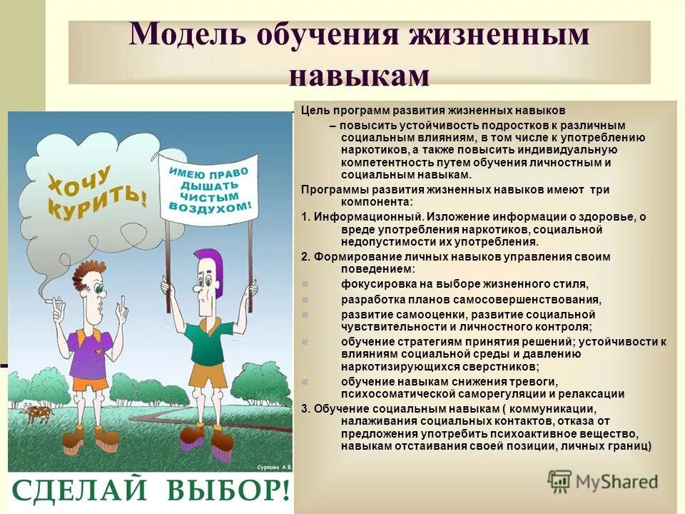 Формирование жизненных навыков презентация. Навыки здорового образа жизни. Программа развитие жизненных навыков. Программа развитие жизненных навыков. Цель программы жизненные навыки.