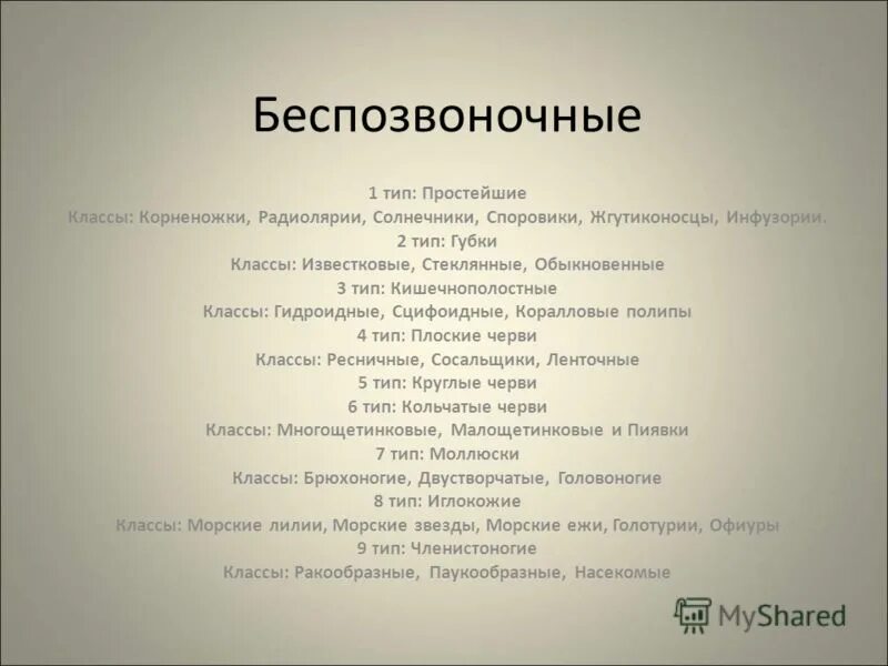 Общая характеристика беспозвоночных. Типы и классы беспозвоночных. Характеристика беспозвоночных животных. Беспозвоночные особенности