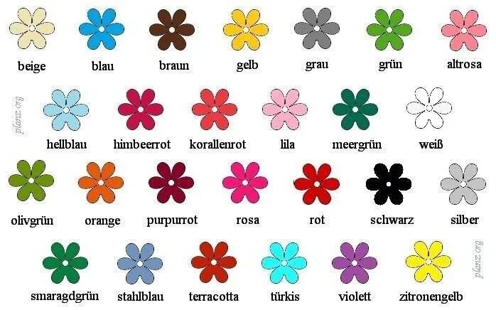Цветок лексика. Цвета на немецком языке. Названия цветов на немецком языке. Немецкие цветы названия. Названия цветов по немецки.
