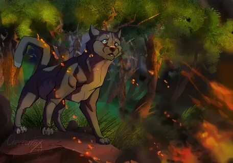 Warrior cats clans