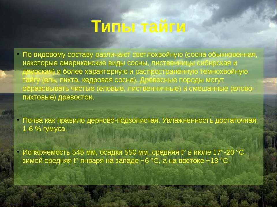 Более разнообразный видовой состав характерен. Видовой состав тайги. биотоп тайги. видовая структура тайги. экосистема тайги.