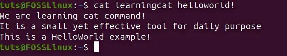 Cat linux это