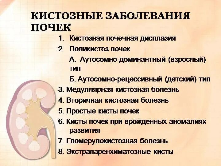 Киста в почке лечение у взрослых женщин. Кистозные заболевания почек. Киста на почке у женщины симптомы. Симптомы поражения почек. Проявления заболеваний почек.