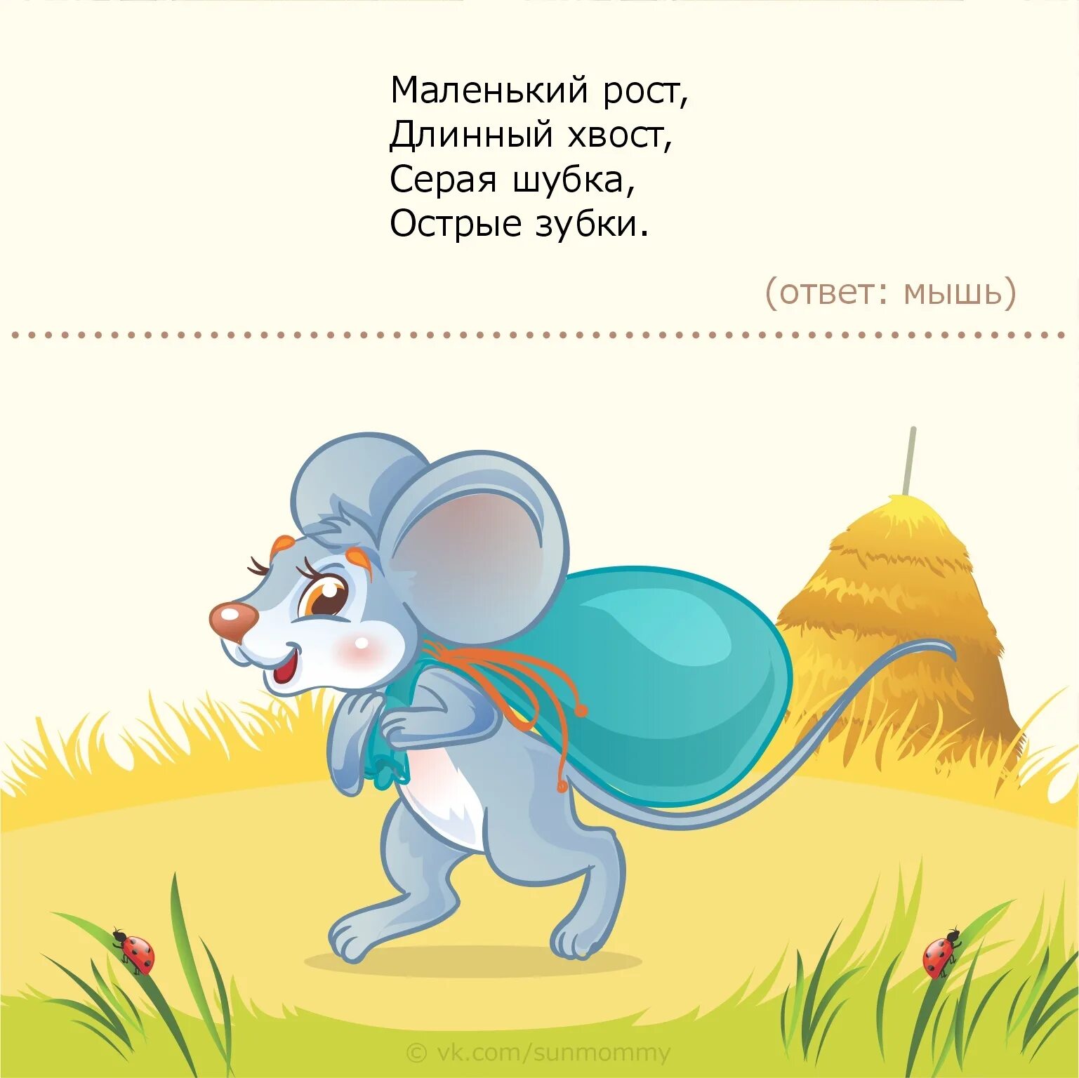 4 загадки про животных