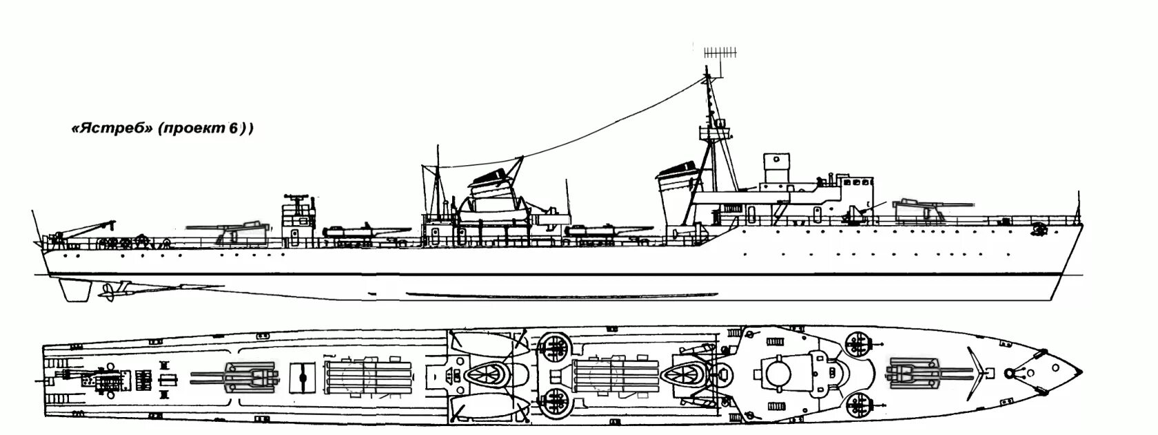 Типа v
