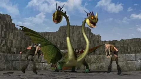 Dragon training