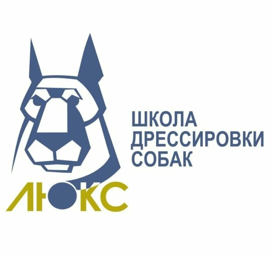 Школа дрессировки собак люкс. Школа дрессировки. Школа дрессировки. Школа дрессировки собак люкс. Школа дрессировки собак обухово.