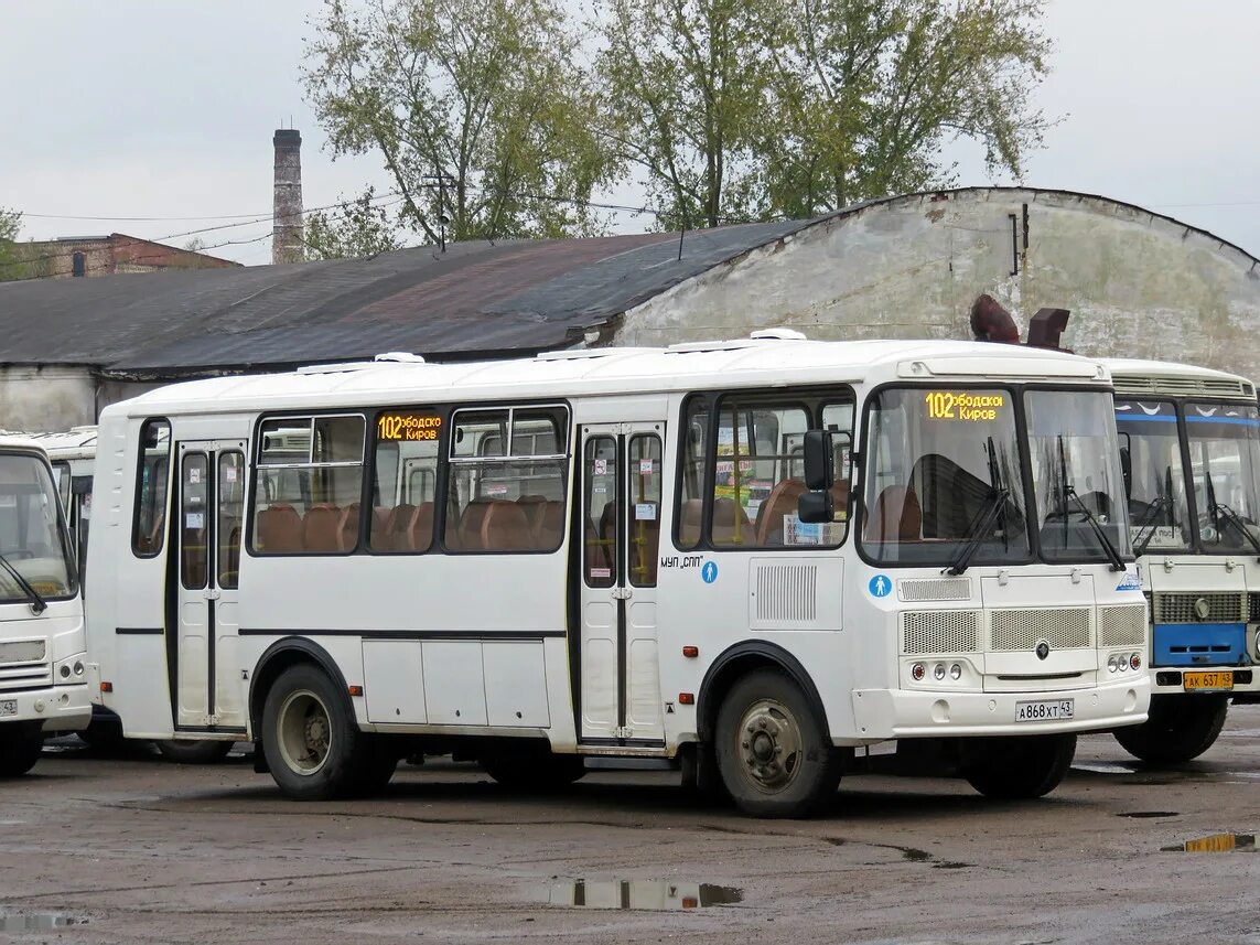 Слободской автобус 3. Автобус ПАЗ 4234-04. ПАЗИКИ 4234 города Слободской. ПАЗ 2021. Автобус Слободской.