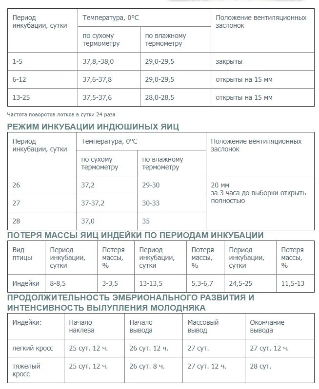 Температура и влажность индюшиных яиц