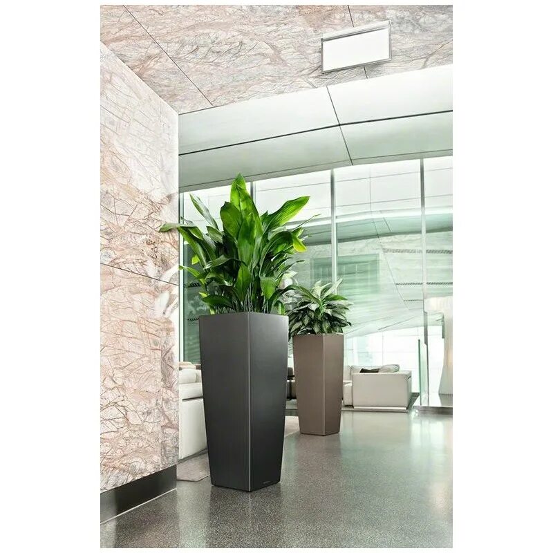 Lechuza cubico color 30. Лечуза cubico alto. Кашпо кубико 50 lechuza. Лечуза кашпо 75 см. Lechuza cubico premium.