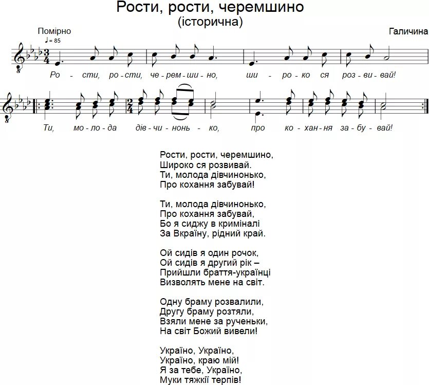 Пісня українською мовою. Тексты украинских песен на украинском языке. Черемшина текст на украинском. Текст песни Черемшина на украинском. Украинские песни те ст.