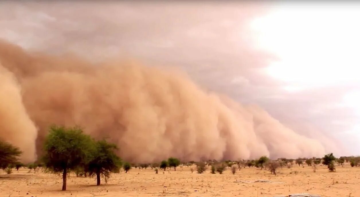 Самум Песчаная буря. Пустыня сахара пыльная буря. Песчаная буря в пустыне сахара. Пустыня Гоби Песчаная буря.