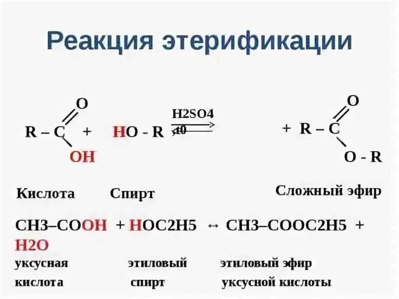 Реакция этерификации карбоновых кислот со спиртами