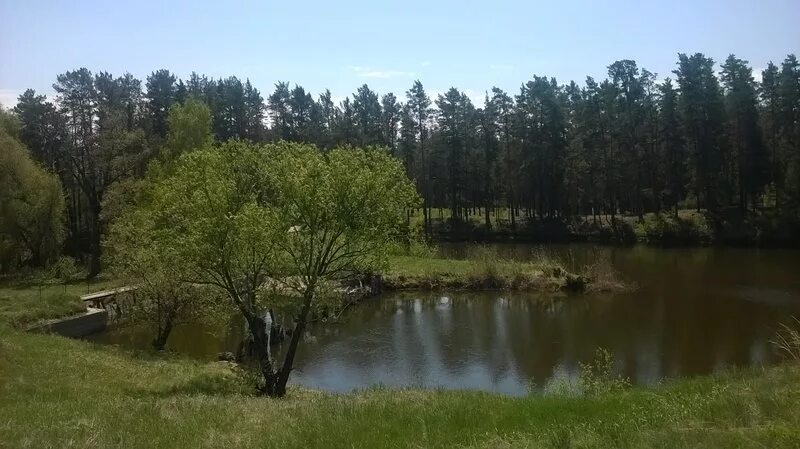 Погода в воронихе алтайский край. Усть-мосиха ребрихинский алтайский. Деревня ребриха алтайский край. Погода в воронихе алтайский край. Погода в воронихе алтайский край.