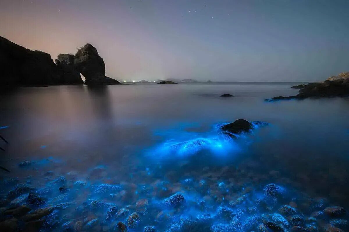 Светятся под водой. Остров Ваадху Мальдивы. Водоросль ночесветка черное море. Мальдивы остров Ваадху море. Фосфорится море в Крыму.