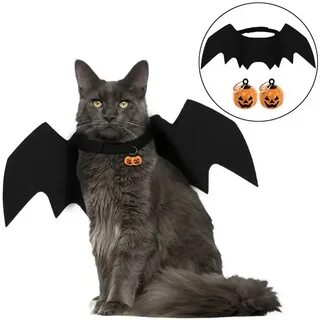 Костюм дракона для кота