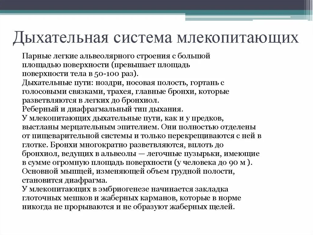 Дыхательная система морских. Дыхательная система у морских млекопитающих. проект дыхательная система морских млекопитающих. органы дыхания млекопитающих кратко. дыхательная система млекопитающих кратко.