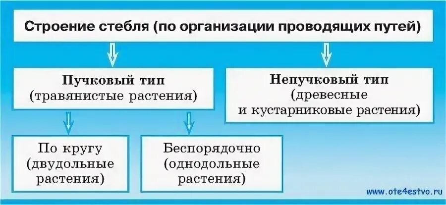 Организации проводящие