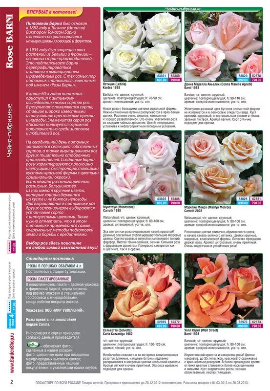 Розомания каталог. Розомания каталог. Элит интернет магазин саженцев роз. Розомания каталог. Розомания каталог.