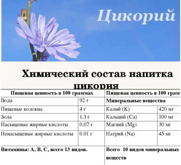 Цикорий содержание. Цикорий химический состав таблица. цикорий состав. цикорий состав витаминов. цикорий элемент химический.
