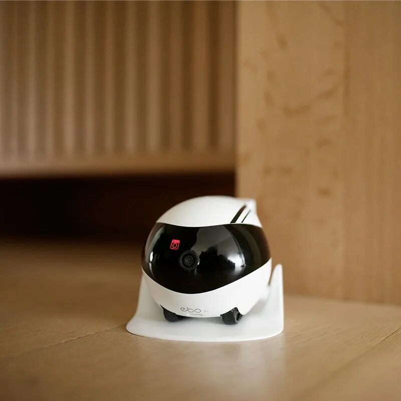 Reddy air. Obexx умный робот-компаньон. ebo air security pet.