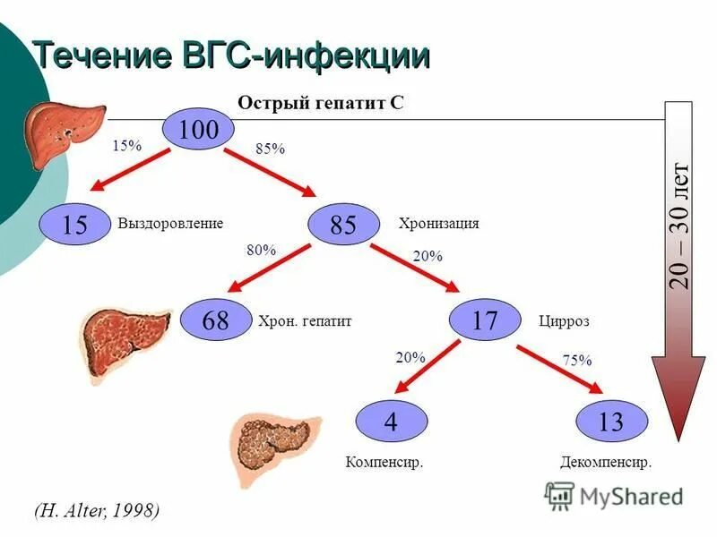 гепатит а б с д е. характеристика вирусов гепатитов. вирусные гепатиты. патогенез вирусного гепатита в. причины гепатита.