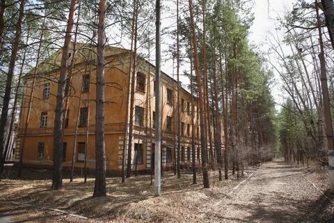 Поселок моховая падь