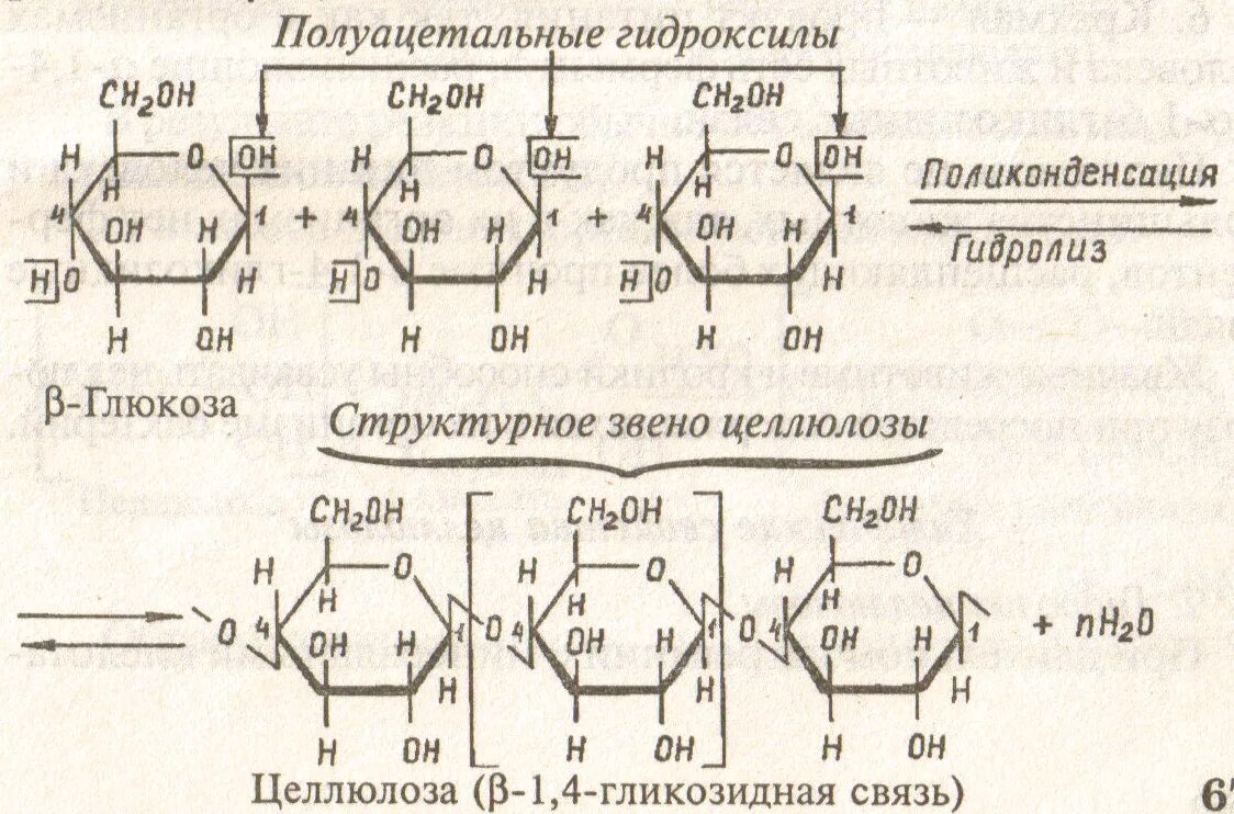 Целлюлоза амилоза Целлюлоза Глюкоза. Синтез целлюлозы реакция. Реакции поликонденсации бета-Глюкозы. Глюкоза Целлюлоза поликонденсации. Реакция поликонденсации глюкозы