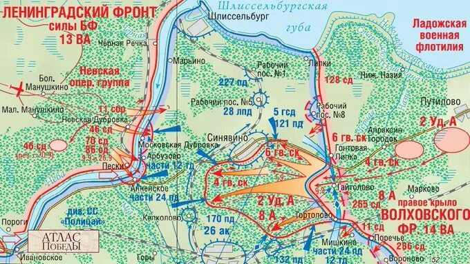 Синявинская наступательная операция 1942 года карта. Синявинская операция карта. Синявинская операция 1943 года карта. Синявинская операция 19 августа 10 октября 1942 года.