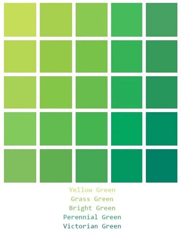 Зеленая палитра. Цветовая палитра зеленый. Оттенки зелёного цвета. Палитра зеленых оттенков.