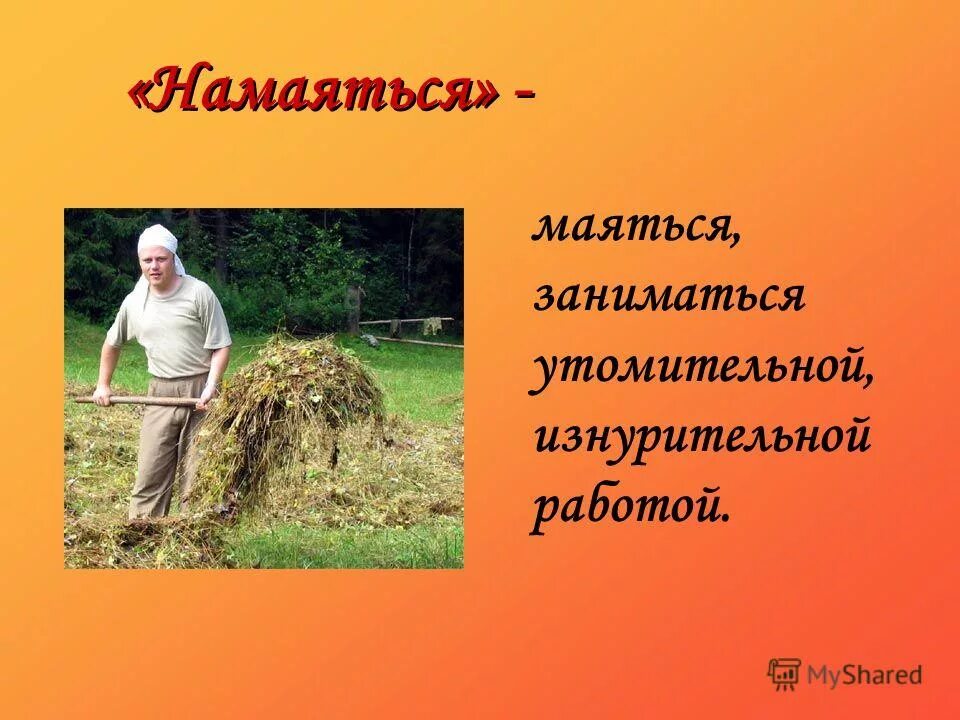 совсем устал. смешные животные. намаешься. намаешься. уставший зверек.