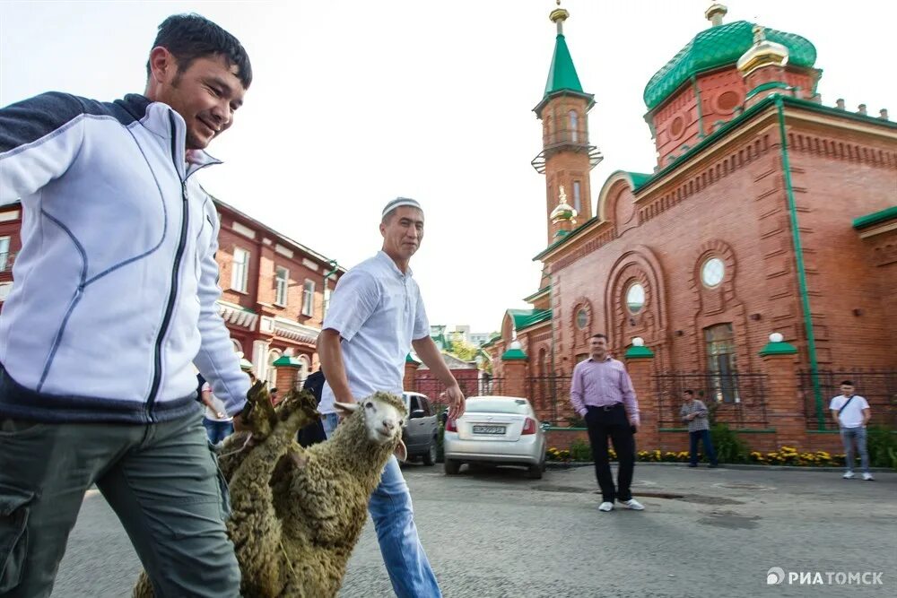 Сколько длится курбан. Курбан байрам — праздник жертвоприношения. Евжанов Курбан. Мусульманский праздник жертвоприношения «Курбан байрам».