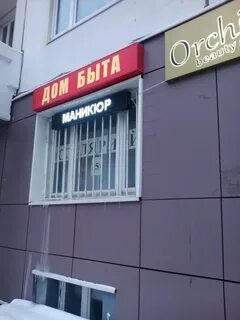 Орхидея отрадное