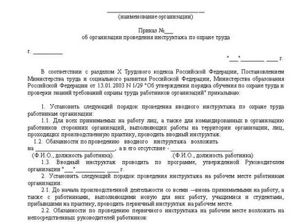 Форма приказа по инструктажам