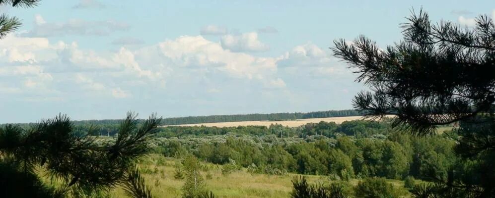 Надеждинка Пензенская область Каменский район. Село Анучино Пензенская область Каменский район. Студенец Пензенская область Каменский район. Село пустынь Каменского района.