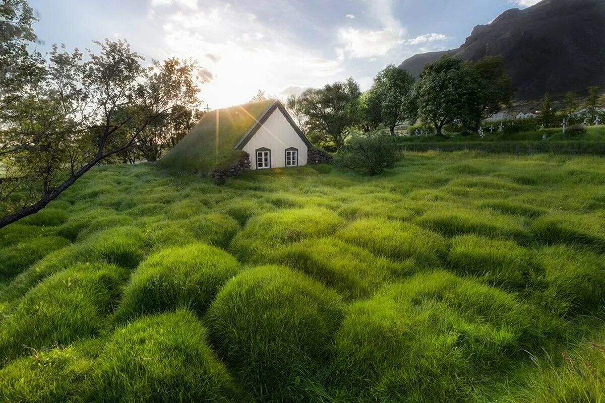 Село зелени. Hofskirkja Исландия. Дом зеленая трава. Дом на траве. Зеленые Луга и дом.