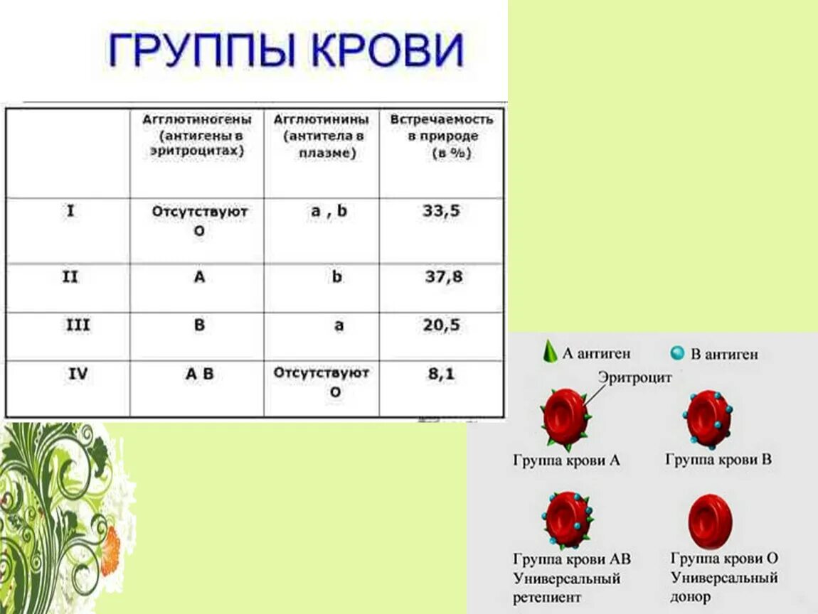 Антигены 1 группы крови