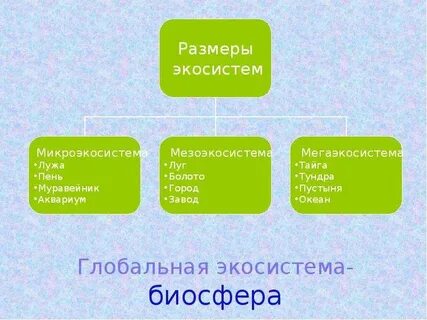 Глобальная экосистема
