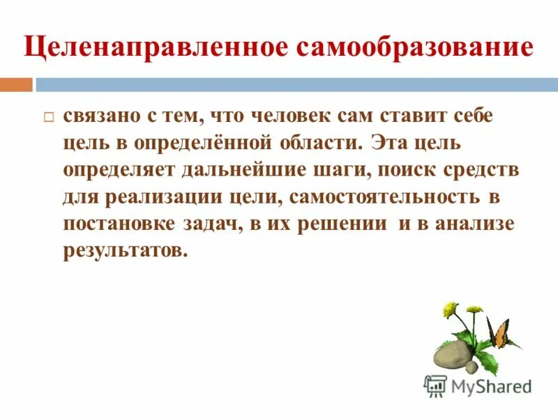 самообразование. образование и самообразование обществознание. для чего нужно самообразование. программа самообразования. для чего нужно заниматься самообразованием.