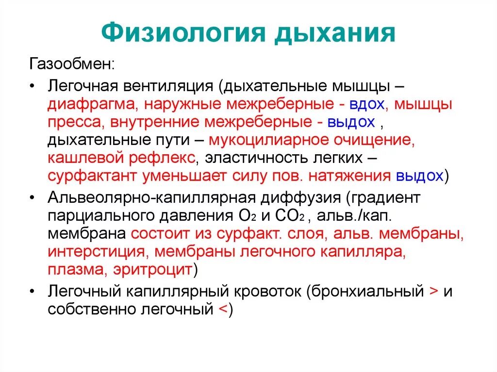 Вдох определение. Основные параметры процесса дыхания. Стадии дыхательного процесса физиология. Структура респираторной системы человека физиология. Акт дыхания человека физиология.