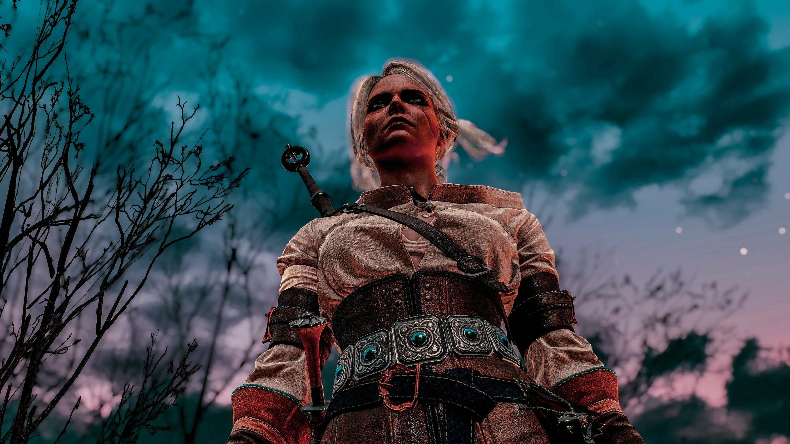 The Witcher 3 Wild Hunt Цири. Ведьмак 3 Ciri. Ведьмак 4 Цири. Ведьмак 3: Дикая охота.